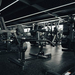 Primal Performance Seated Calf Raise - Image 3